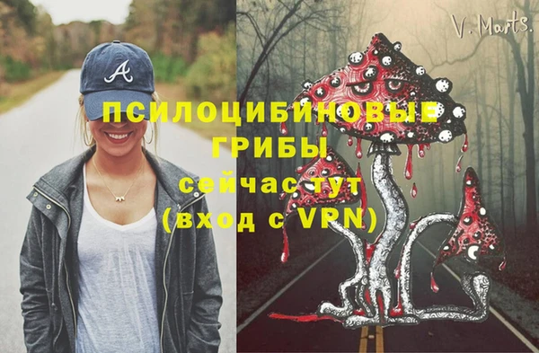 бошки Покров