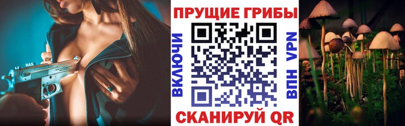 Купить закладки  Туапсе  Псилоцибиновые грибы Cubensis 